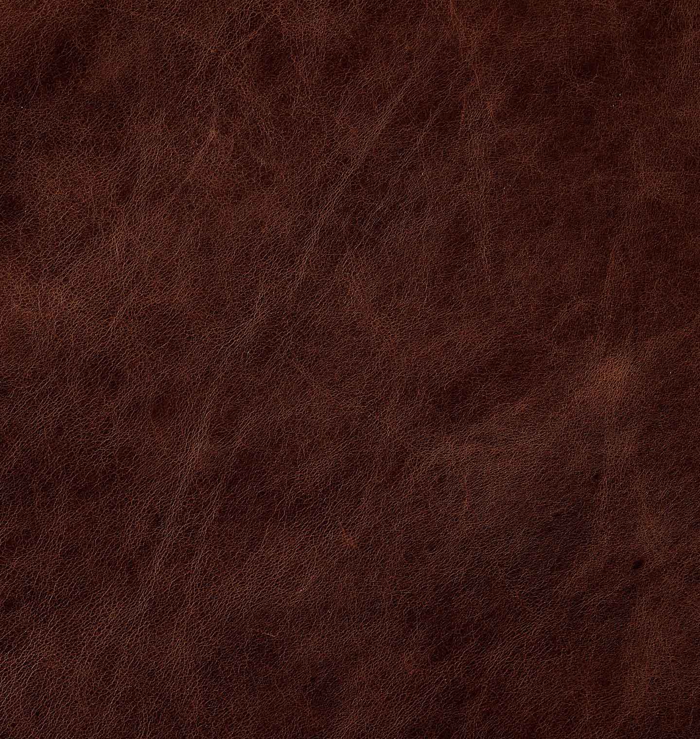 Thumbnail 22